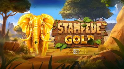 Stampede Gold